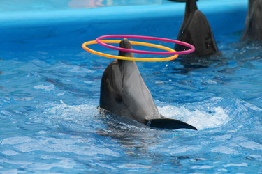 Similar image 1405085