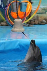 Similar image 1405087