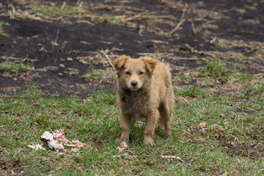 Similar image 1405108