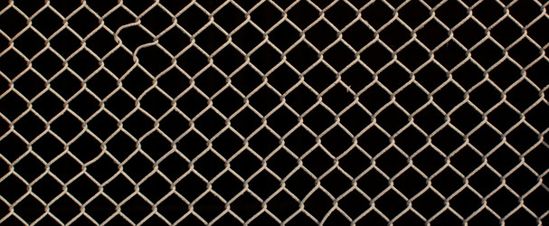 Similar image 1405110