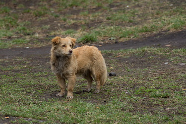 Similar image 1405113