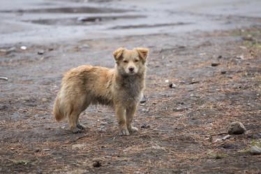 Similar image 1405115