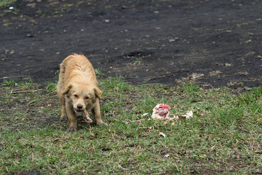 Similar image 1405151