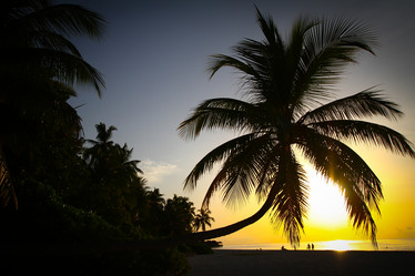 Similar image 1405154