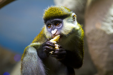 Similar image 1405159