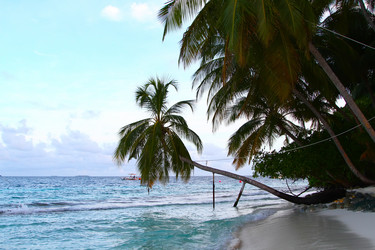 Similar image 1405179