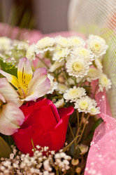 Similar image 1405271