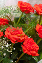 Similar image 1405272