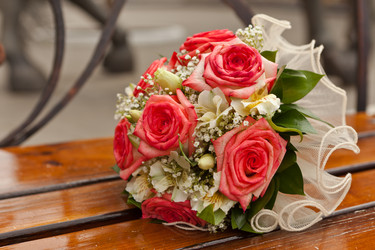 Similar image 1405276