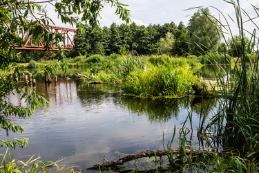 Similar image 1405339