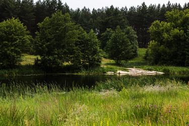 Similar image 1405340