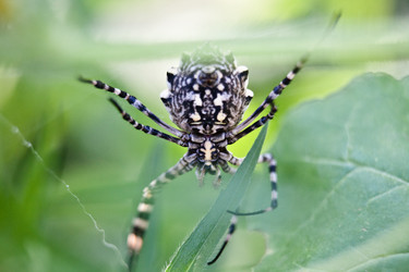 Similar image 1405358