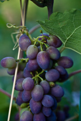 Similar image 1405392