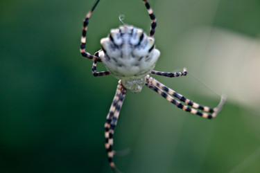 Similar image 1405414