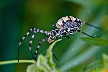 Similar image 1405415