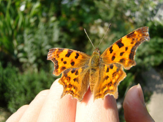 Similar image 1405434