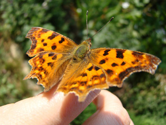 Similar image 1405435