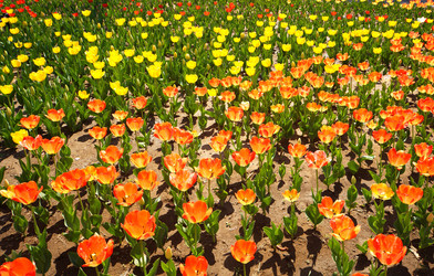 Similar image 1405439