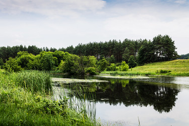 Similar image 1405480