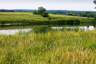 Similar image 1405481