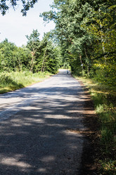 Similar image 1405482