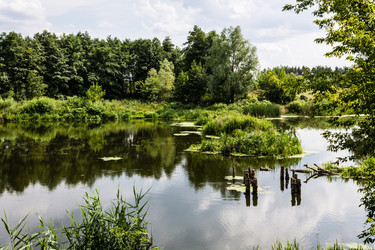 Similar image 1405485