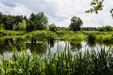 Similar image 1405488