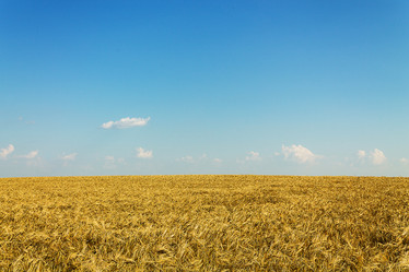 Similar image 1405491