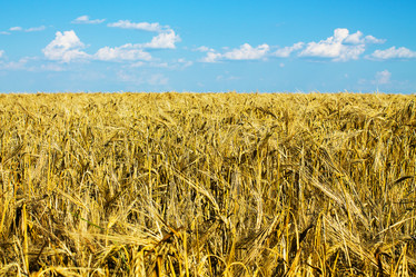 Similar image 1405492