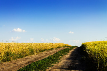 Similar image 1405493