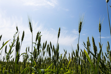 Similar image 1405494