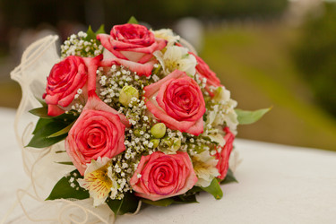 Similar image 1405533