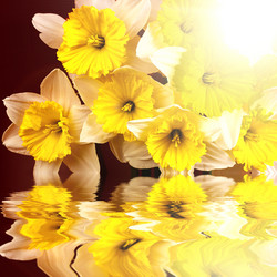 Similar image 1405541