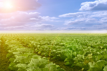 Similar image 1405547