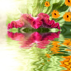 Similar image 1405548