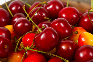 Similar image 1405574