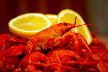 Similar image 1405620