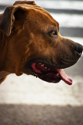 Similar image 1405711