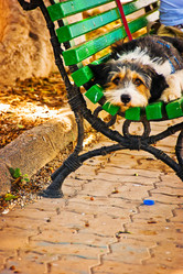 Similar image 1405719