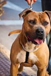 Similar image 1405732