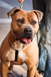 Similar image 1405733