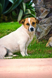 Similar image 1405759