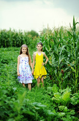 Similar image 1405814