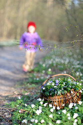 Similar image 1405844