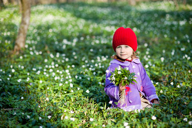 Similar image 1405850