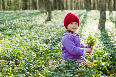 Similar image 1405851