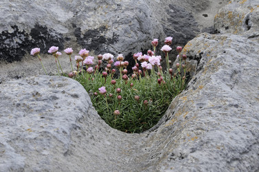 Similar image 1405885