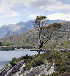 Similar image 1405890