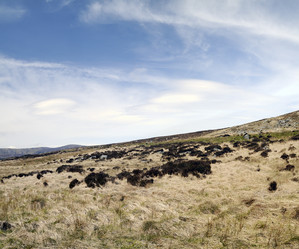 Similar image 1405903