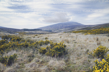 Similar image 1405905